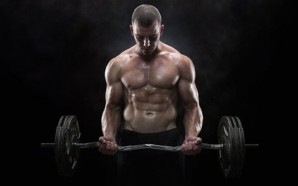 Arm Workouts for Main Muscle Groups