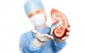 The Biggest Risk Factors of Kidney Cancer