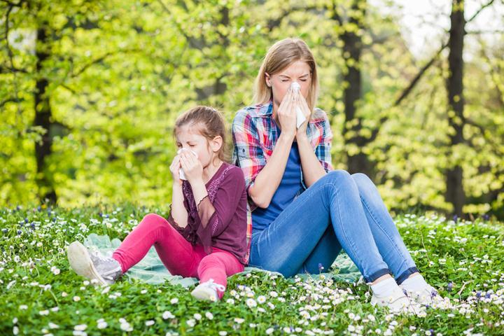 Mold Allergy Treatment